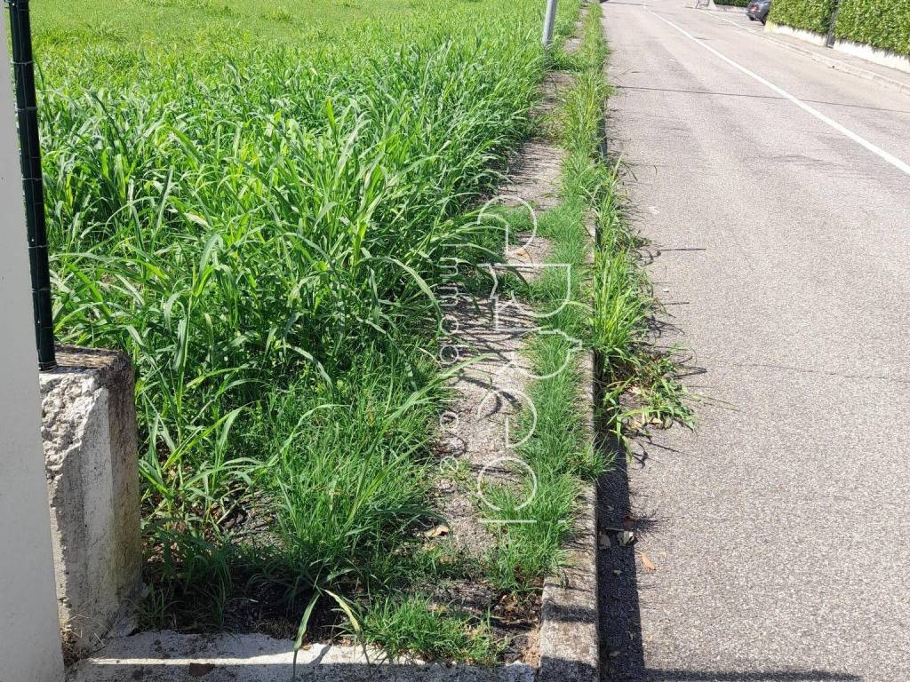 Terreno a Curtatone in Strada Provinciale Padana Inferiore - Foto 3