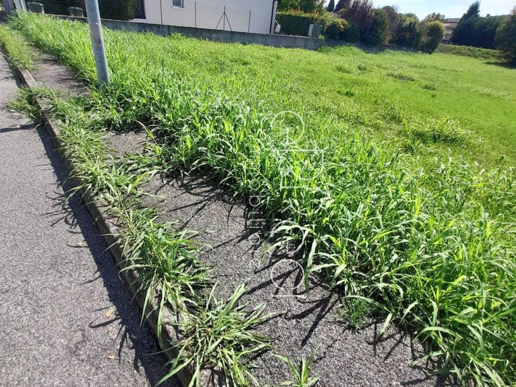 Terreno a Curtatone in Strada Provinciale Padana Inferiore - Foto 5