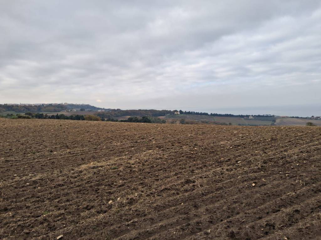 Terreno a Petacciato - Foto 2