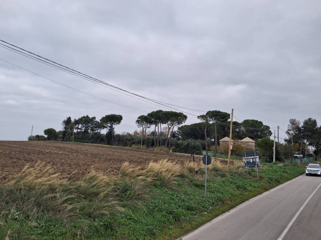 Terreno a Petacciato - Foto 3