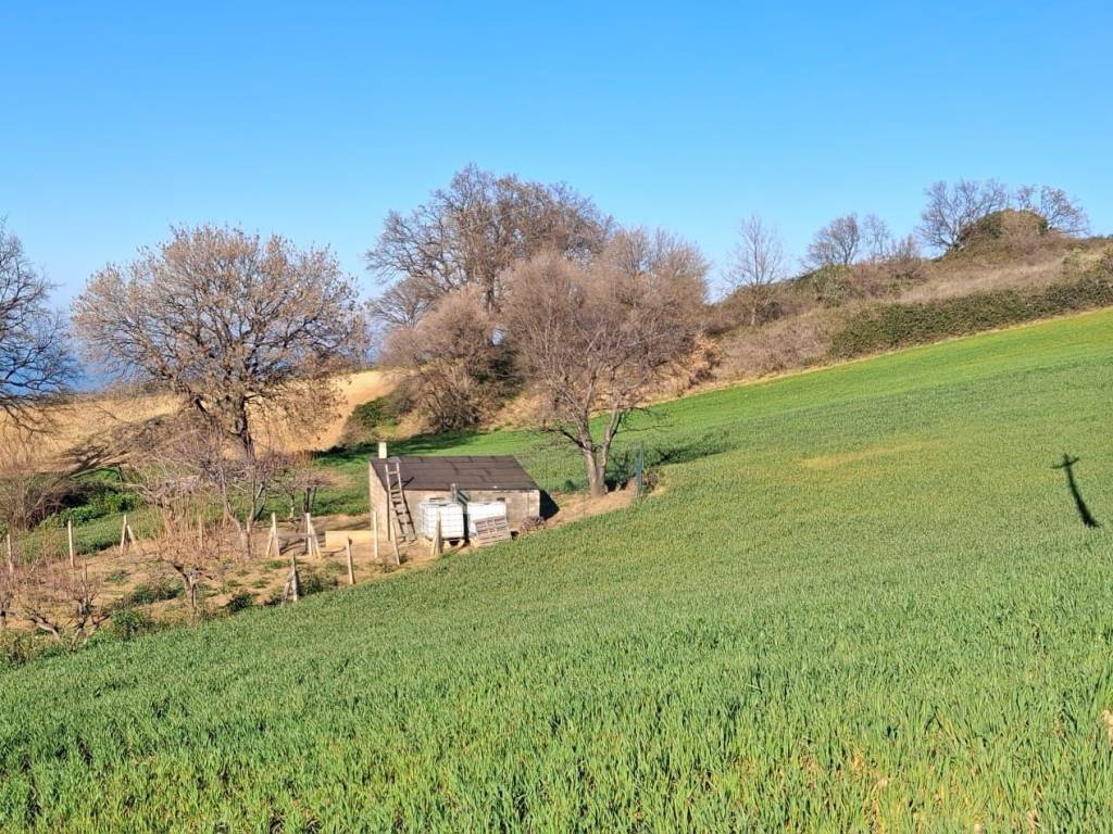 Terreno a Petacciato - Foto 2