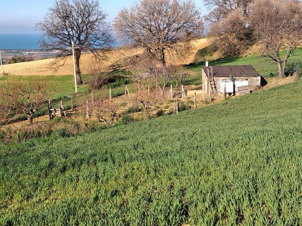 Terreno a Petacciato - Foto 3