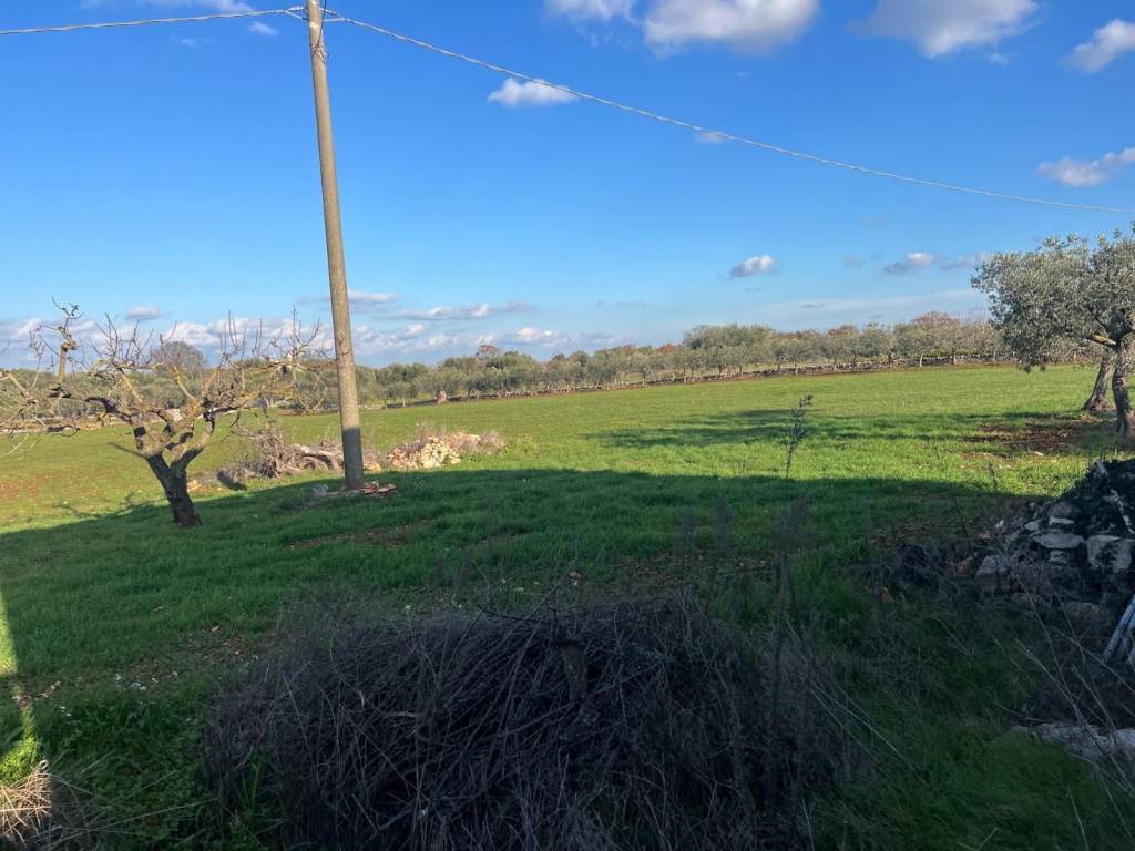 Rustico / casale a Cisternino in cisternino - Foto 5