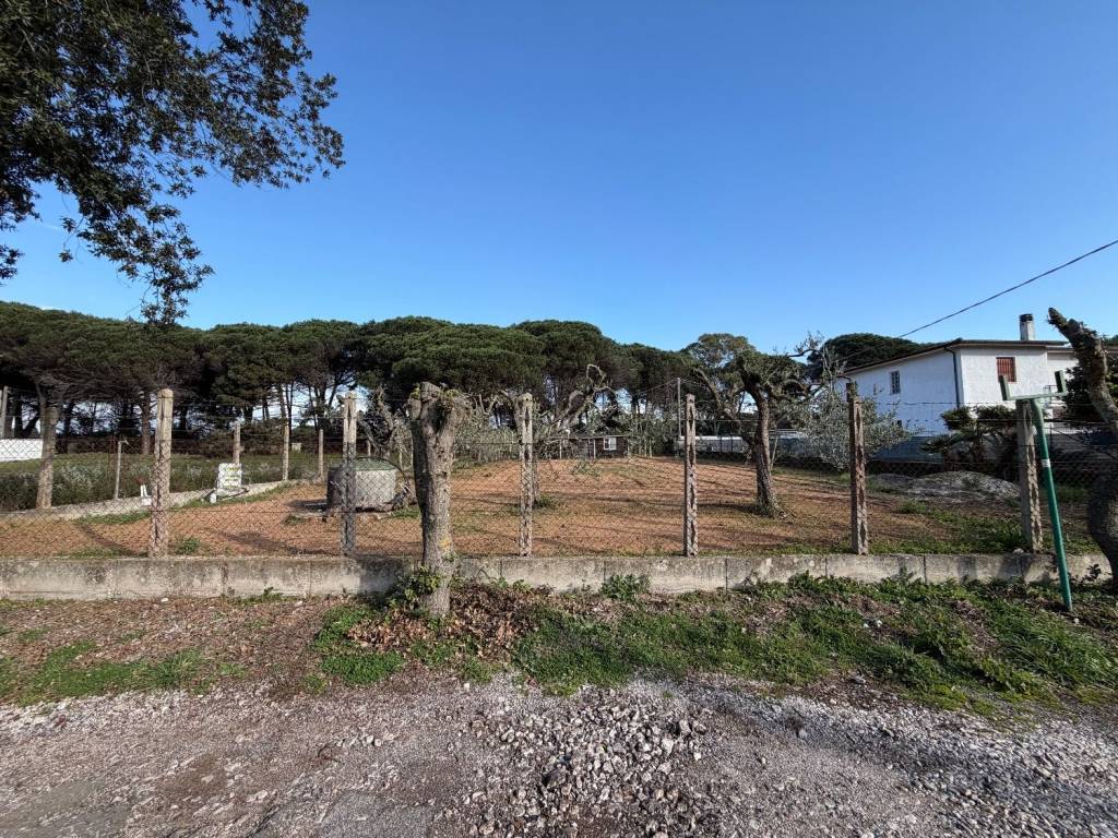 Terreno a Terracina in Via delle Magnolie - Foto 2