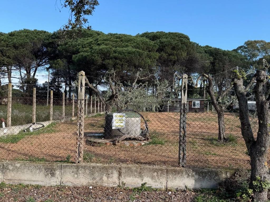 Terreno a Terracina in Via delle Magnolie - Foto 3