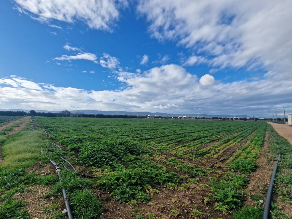 Terreno a Fasano in SP3 - Foto 5