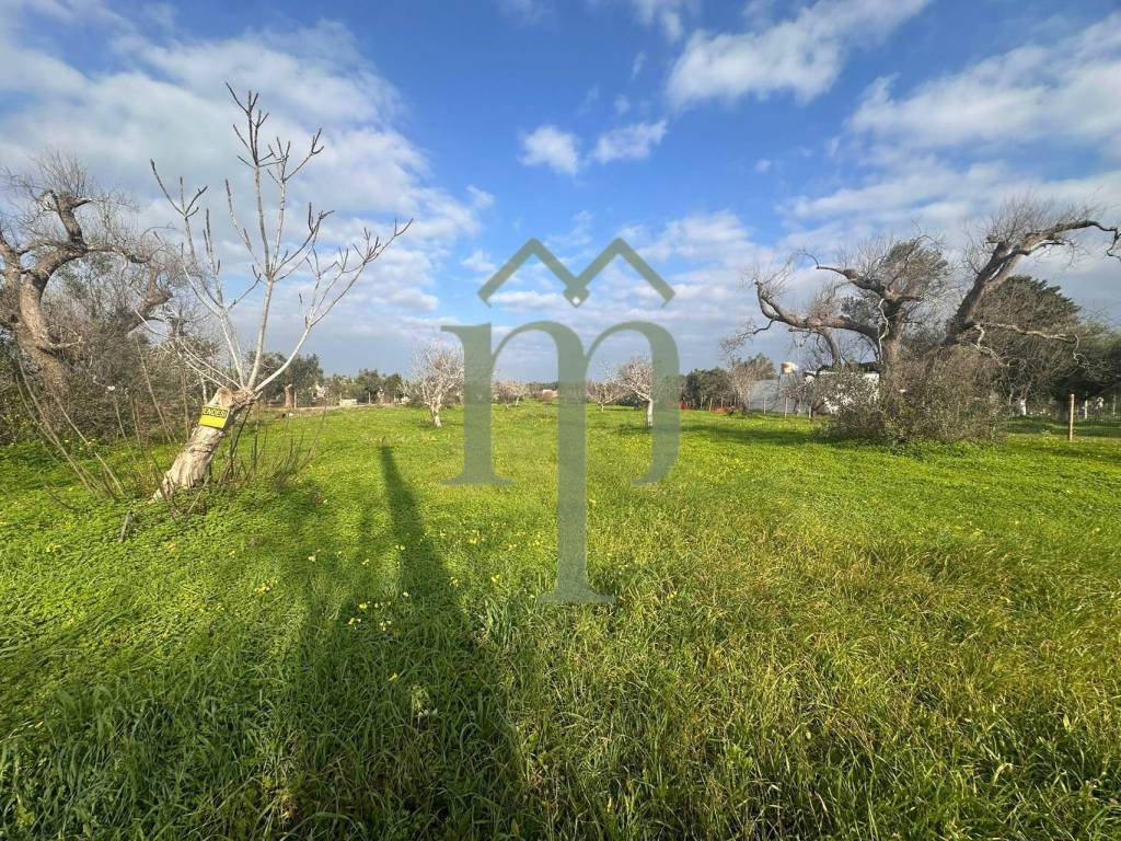 Terreno a San vito dei normanni in Contrada Giannaricchiella - Foto 2