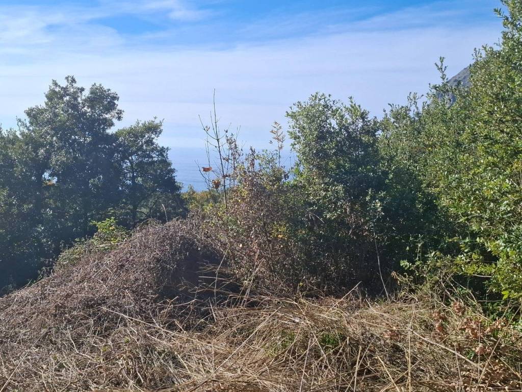 Villa a Maratea in Strada Comunale San Basile - Foto 3