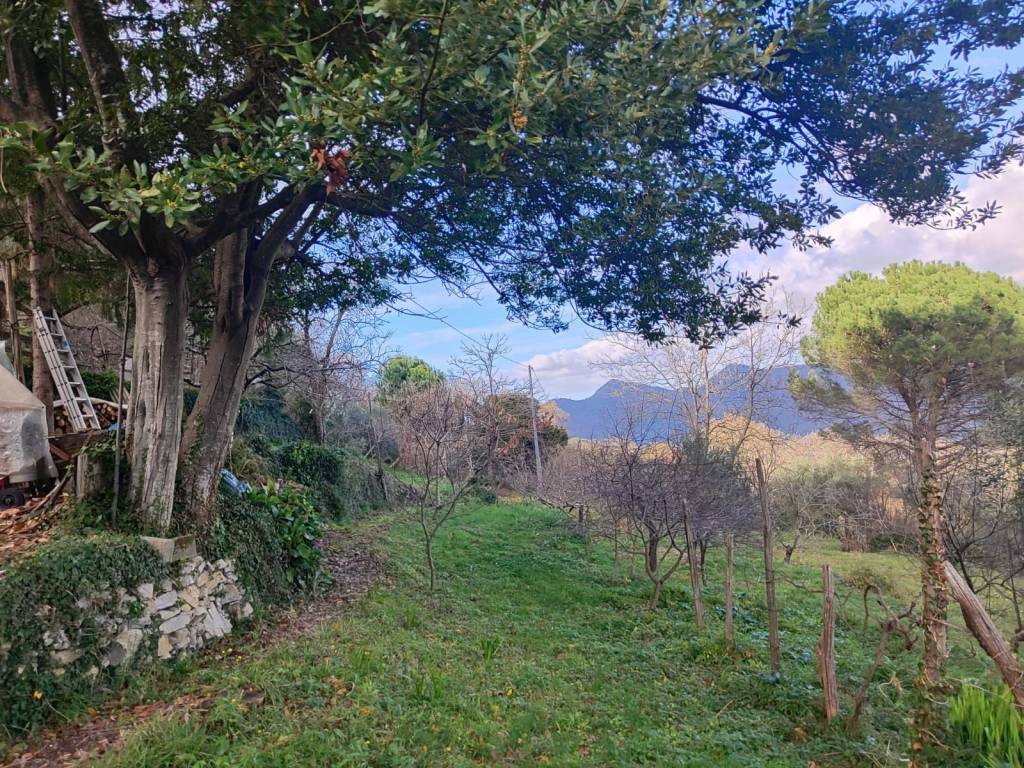 Casa indipendente a Camogli in Viale Bernardo Gaggini - Foto 2