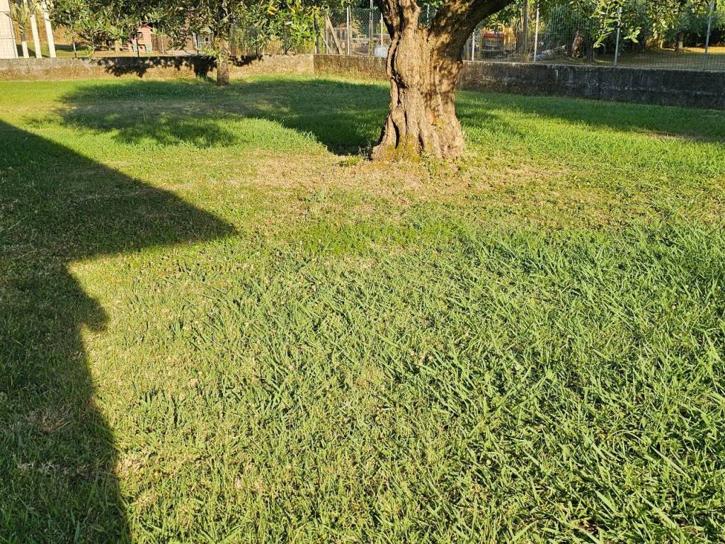 Villa a Porcari in Via Roma - Foto 3