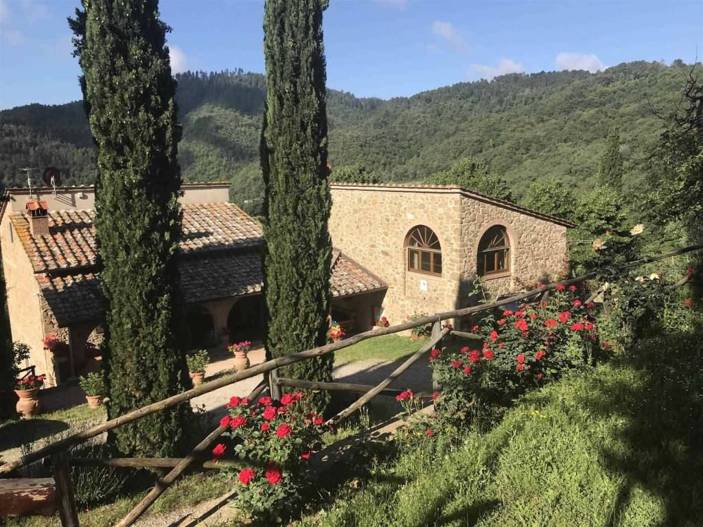 Rustico / casale a Gaiole in chianti - Foto 4