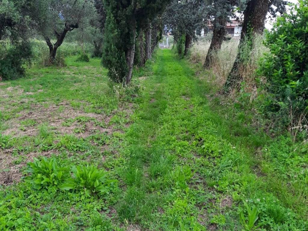 Casa indipendente a Sarzana - Foto 2