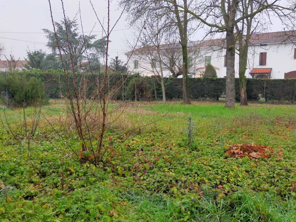 Villa a Gualtieri in Via Pieve, 162 - Foto 5
