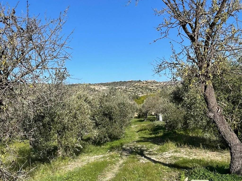 Terreno a Noto in SP34 - Foto 2