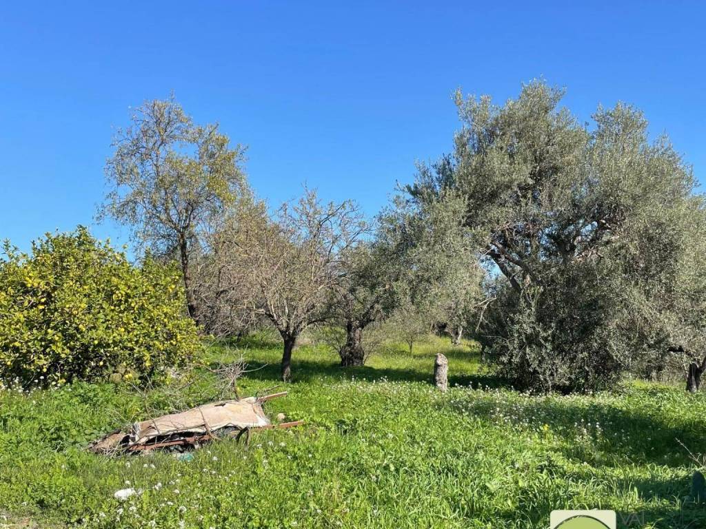 Terreno a Noto in SP34 - Foto 4