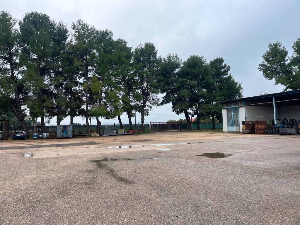 Immobile a Foggia in Strada del Salice Nuovo - Foto 2