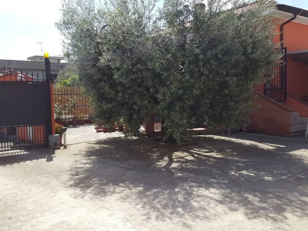Villa a Cisterna di latina - Foto 3