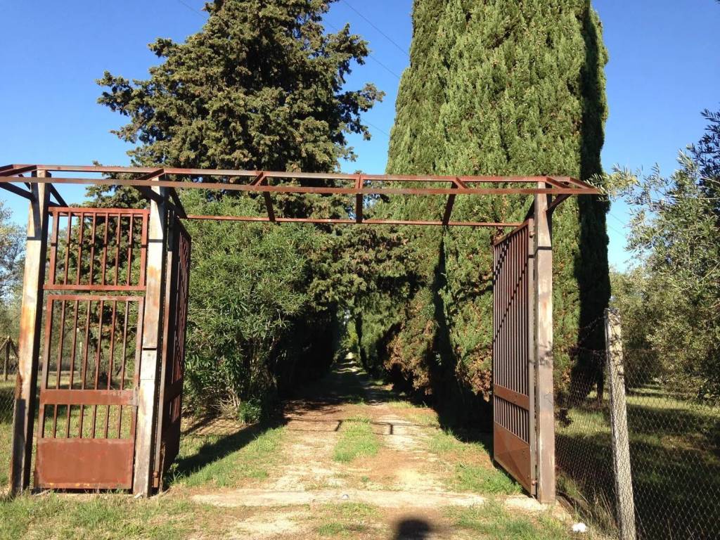 Villa a Cisterna di latina in Via Kennedy - Foto 3