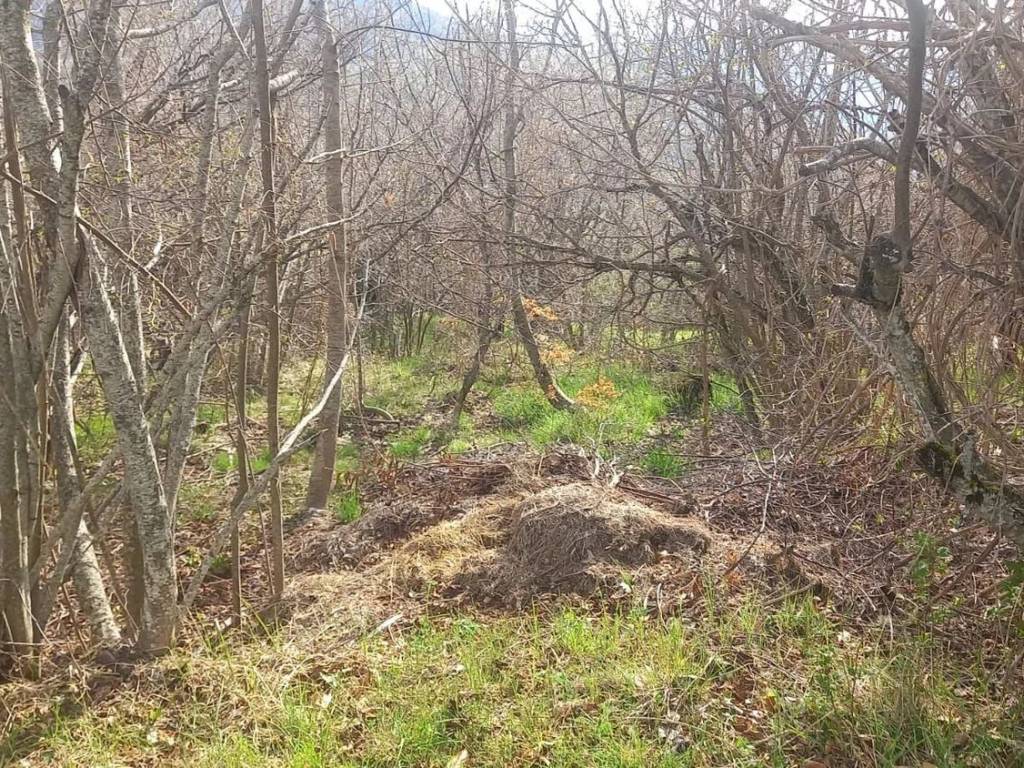 Terreno a Cabella ligure in Frazione Capanne Di Cosola, 11 - Foto 5