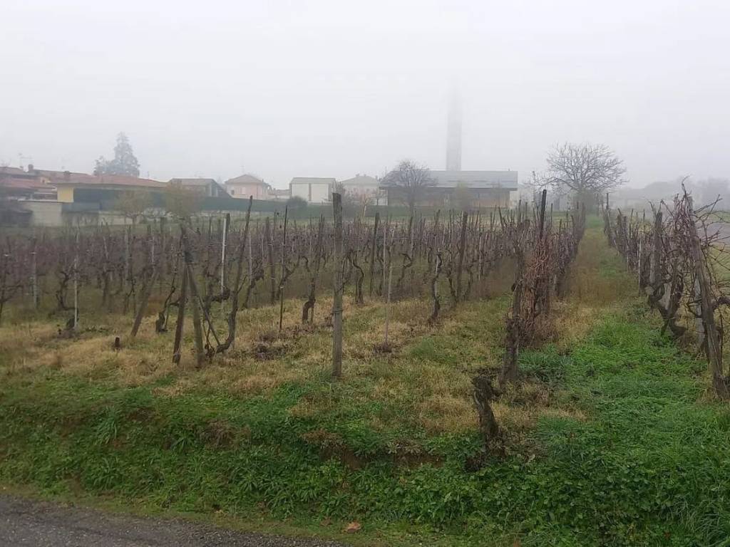 Terreno a Torrazza coste in Via A. Moro, 13 - Foto 2