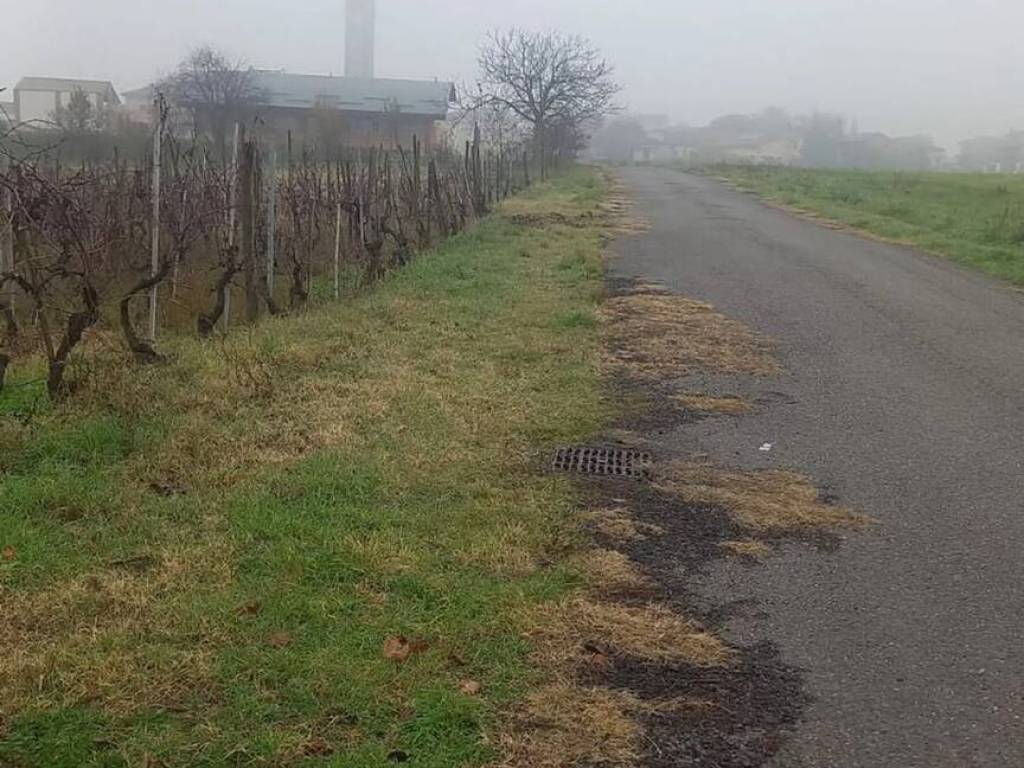 Terreno a Torrazza coste in Via A. Moro, 13 - Foto 3