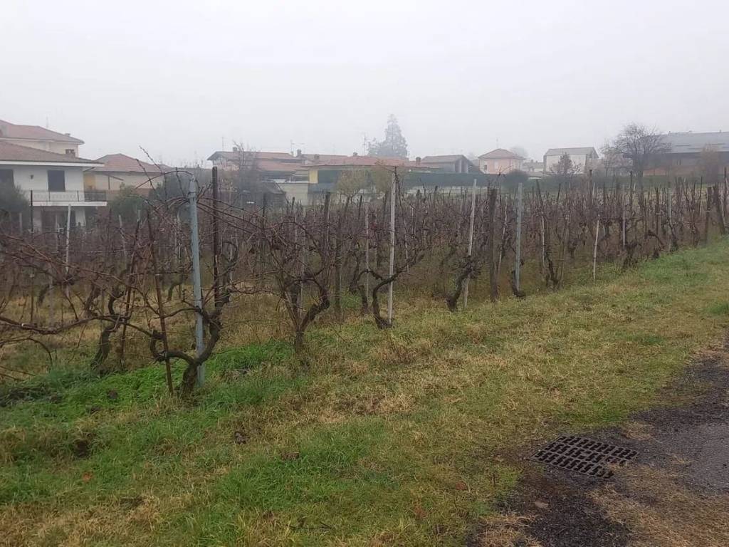 Terreno a Torrazza coste in Via A. Moro, 13 - Foto 4