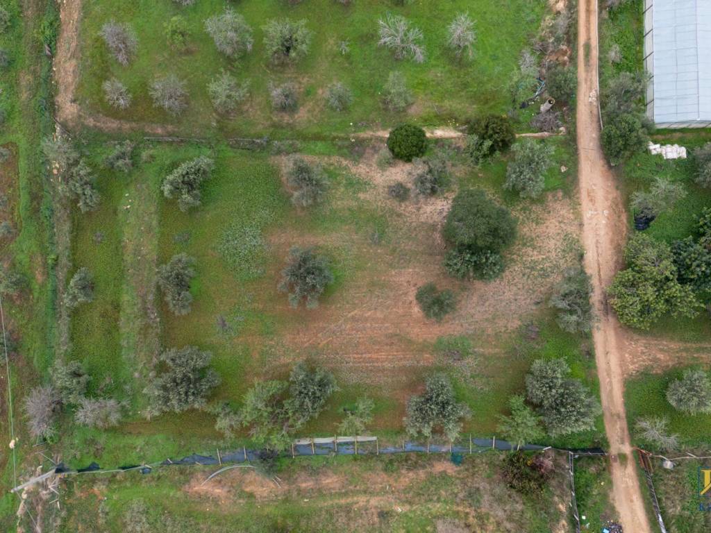 Terreno a Ragusa in Contrada Piombo - Foto 4