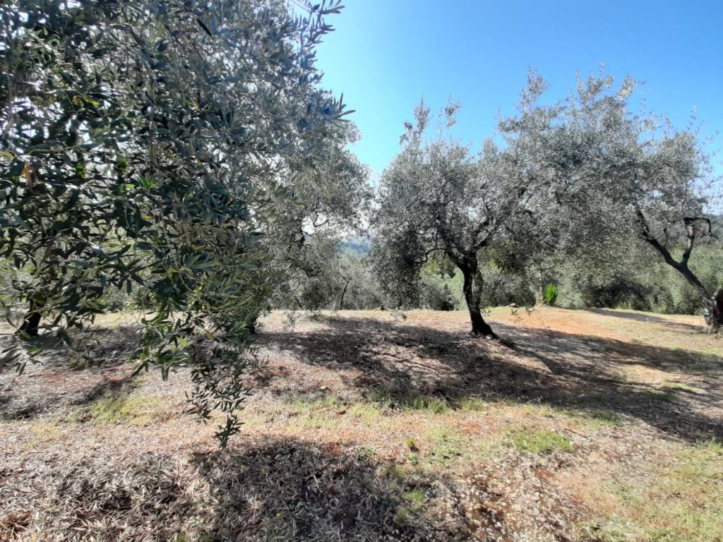 Rustico / casale a Itri - Foto 2