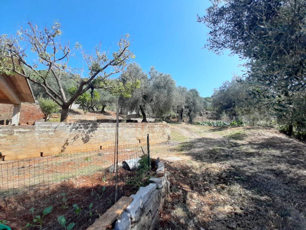 Rustico / casale a Itri - Foto 3