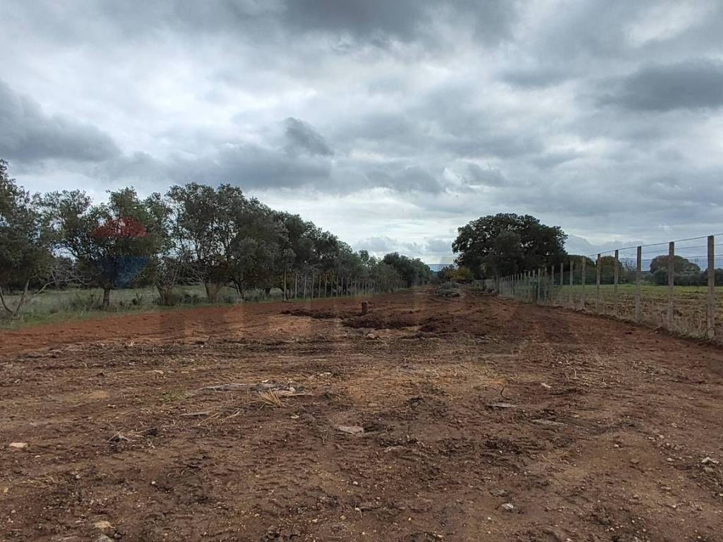 Terreno a Caltagirone in C.DA COSTABAIRA - Foto 4