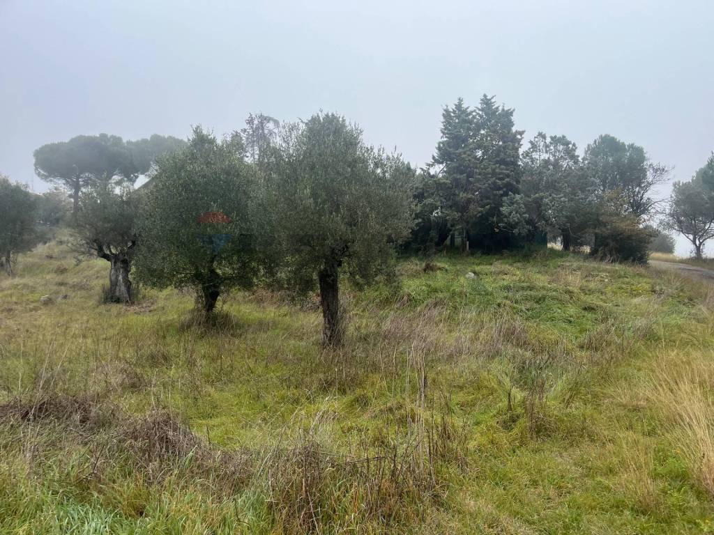 Terreno a Magione in del torrente - Foto 2