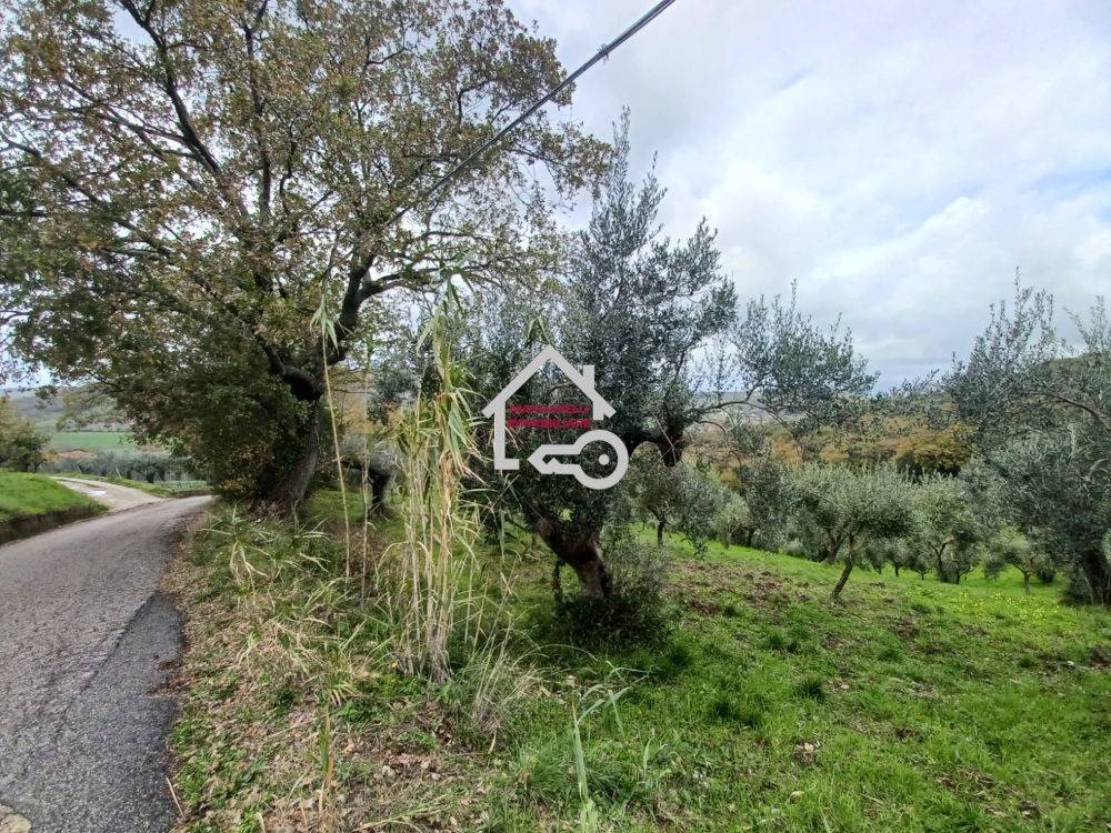 Rustico / casale a Albanella in Via Cerrina - Foto 2