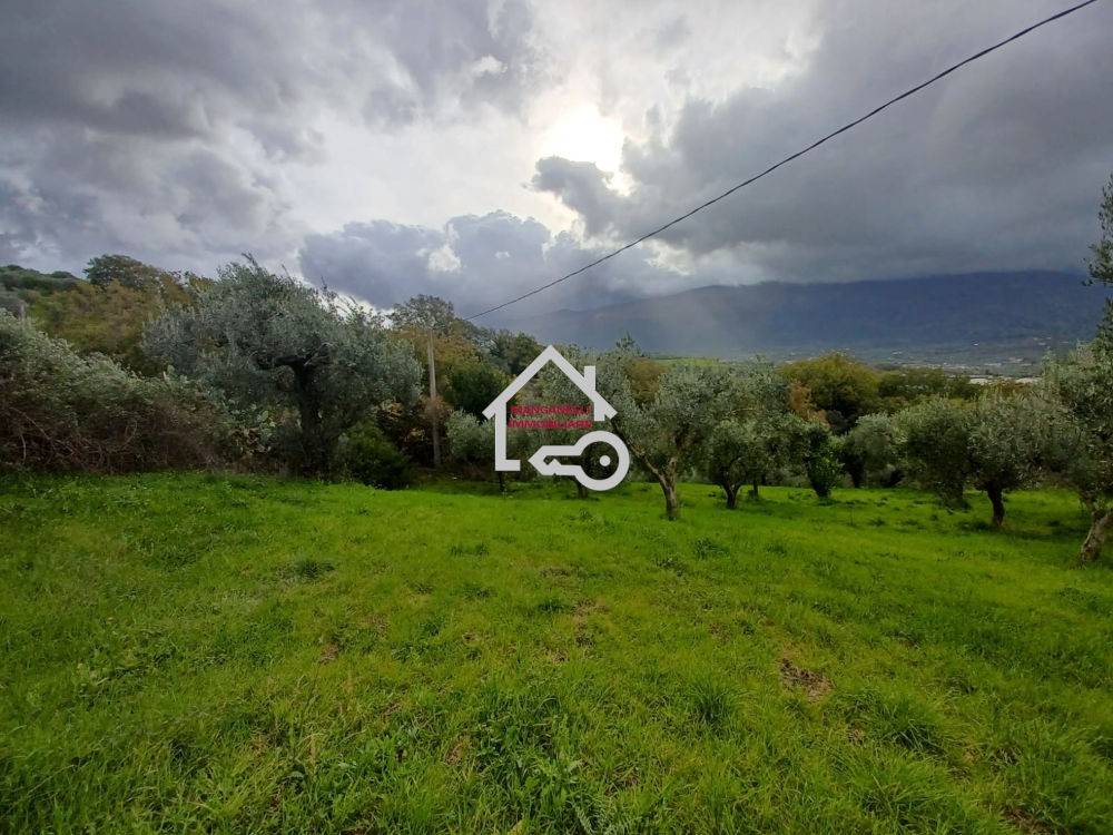 Rustico / casale a Albanella in Via Cerrina - Foto 4