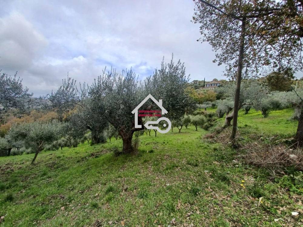 Rustico / casale a Albanella in Via Cerrina - Foto 5