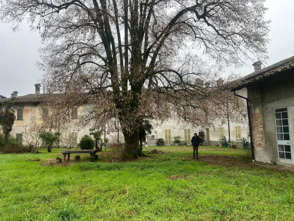 Palazzo / stabile a Lodi in Piazzale Matteotti - Foto 2