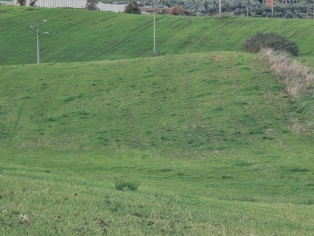 Terreno a Ardea in Via della Pescarella - Foto 4