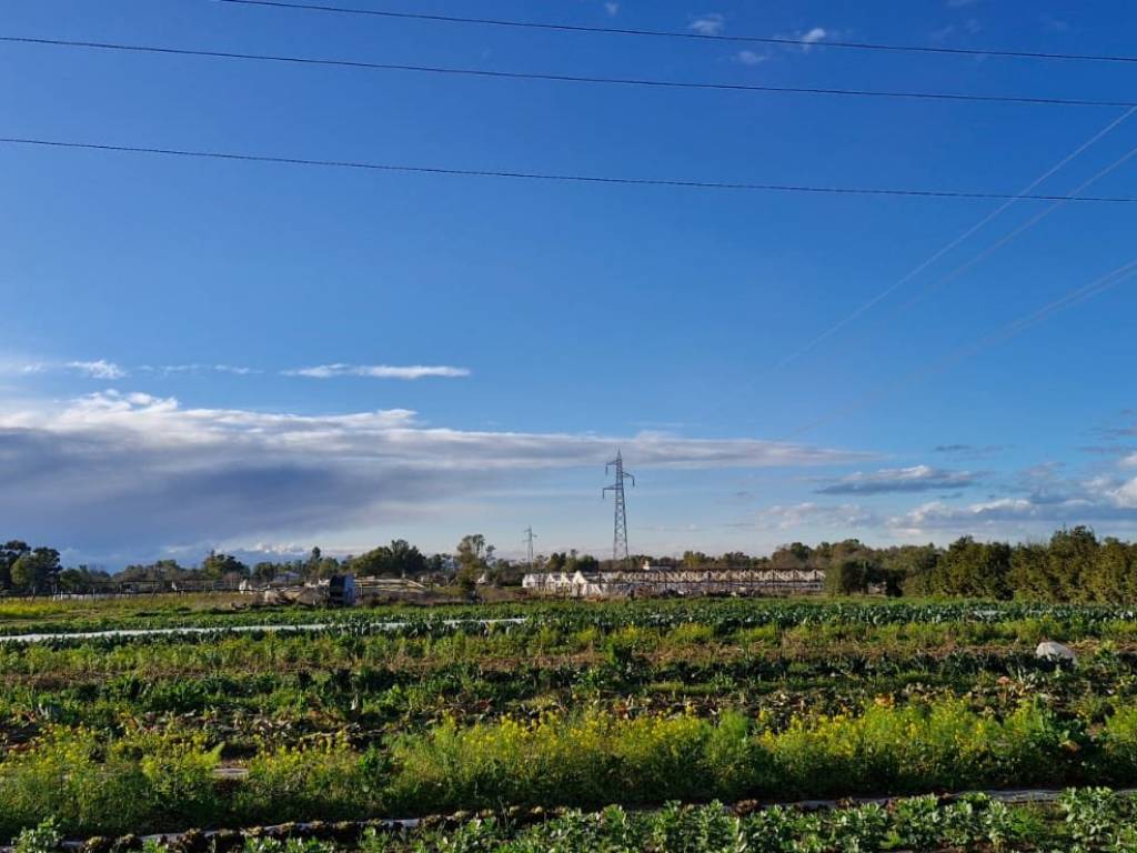 Terreno a Latina in Via Lido, 182 - Foto 4