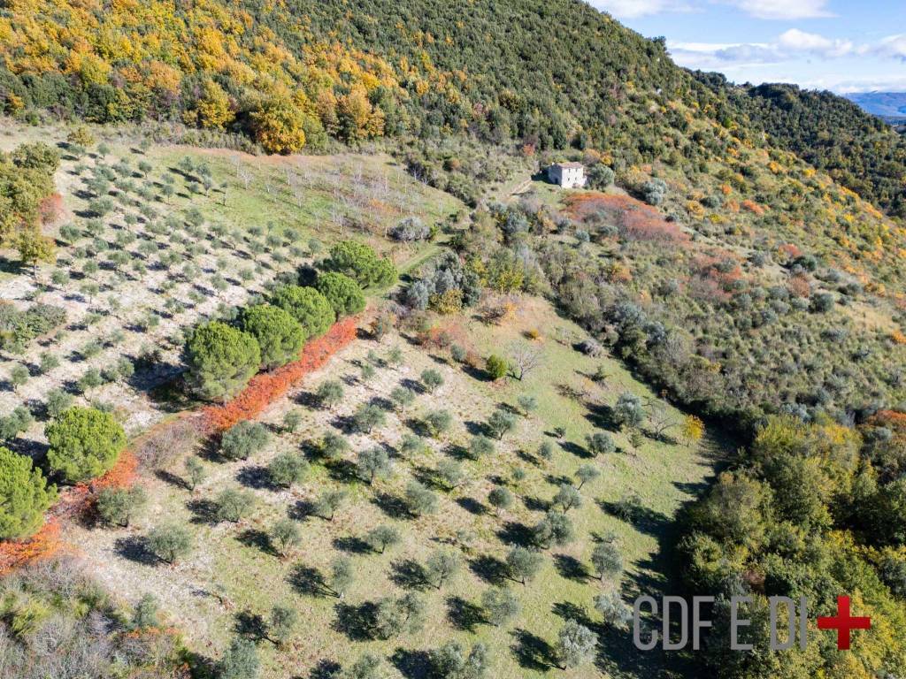 Rustico / casale a Montopoli di sabina in Via Granica Est - Foto 4