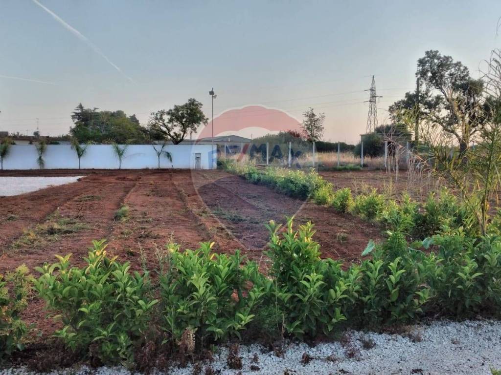 Terreno a Vittoria in Strada Provinciale 5 - Foto 5