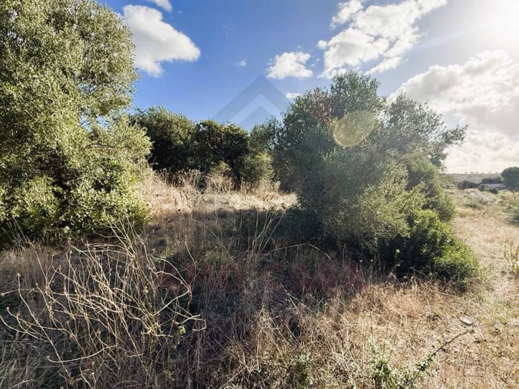 Terreno a Civitavecchia in Strada delle Boccelle - Foto 3