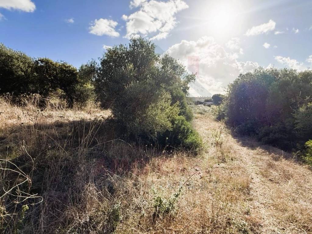 Terreno a Civitavecchia in Strada delle Boccelle - Foto 5