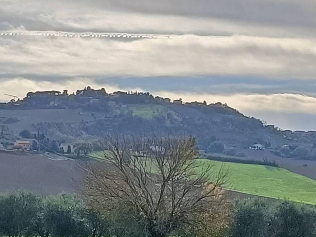 Rustico / casale a Montelupone in Urb. Rustico Mte Lupone 1Montelupone - Foto 4