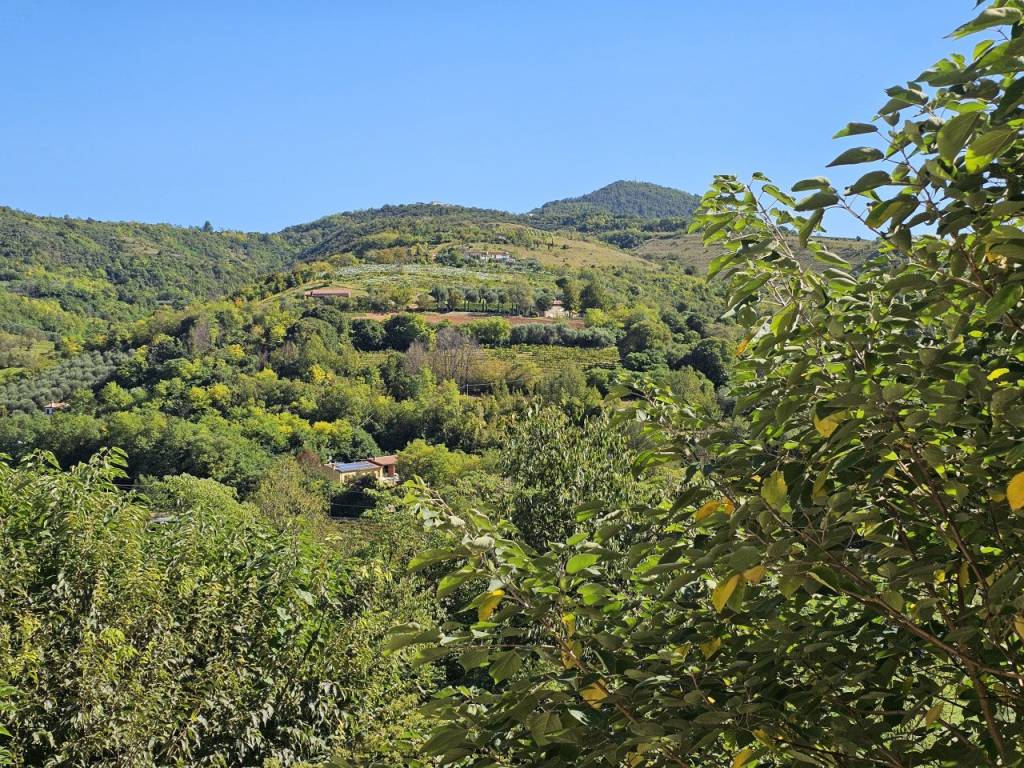 Villa a Baone in VIA MURO - Foto 3