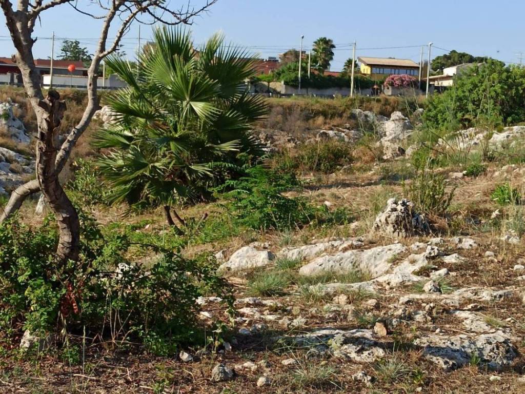 Terreno a Melilli in VIA GIOVANNI PASCOLI, 4 - Foto 3