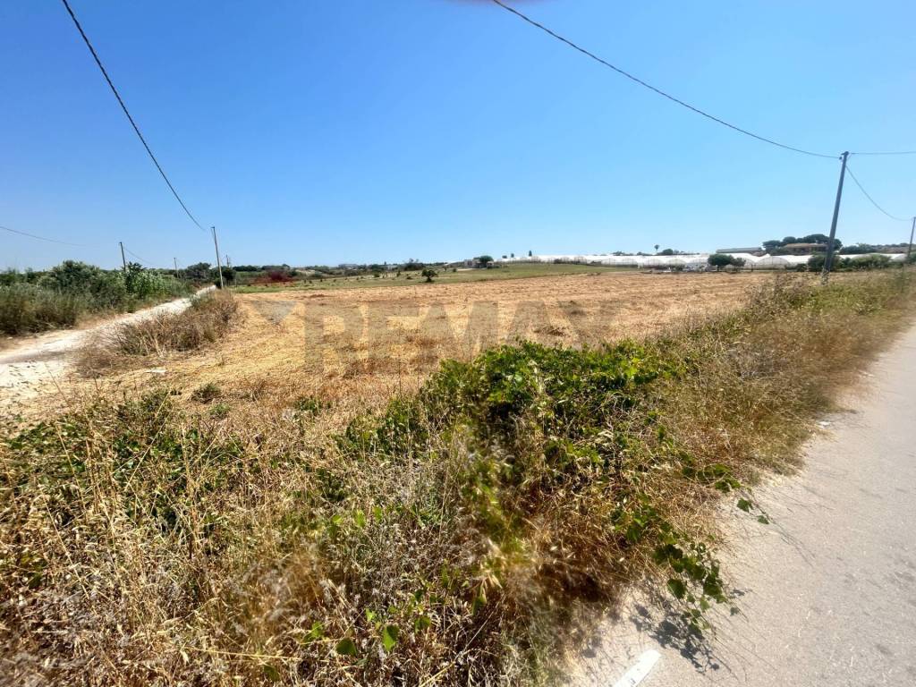 Terreno a Pachino - Foto 4