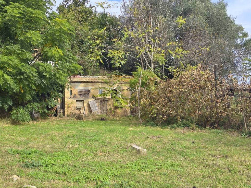 Rustico / casale a Sant'elpidio a mare - Foto 5