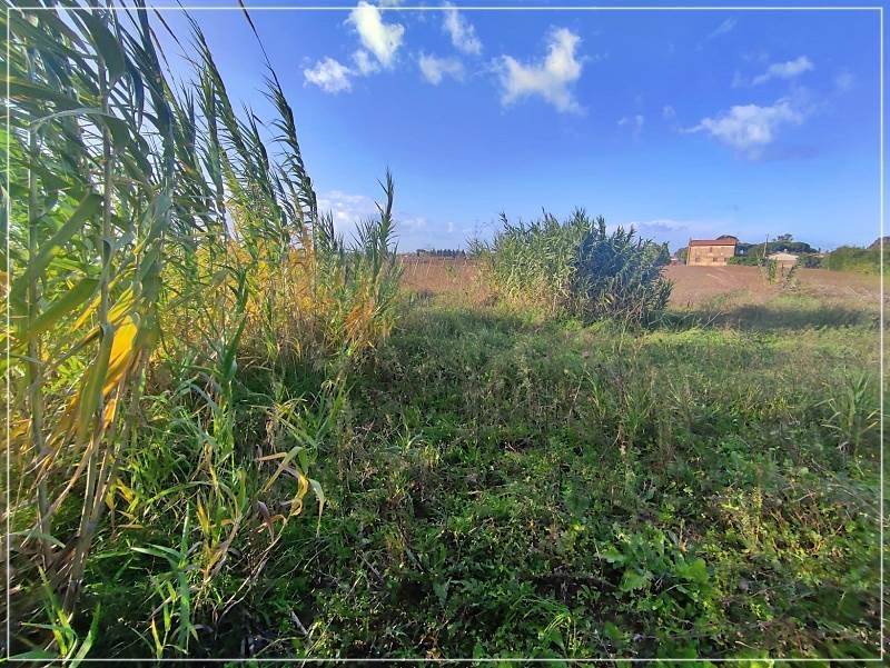 Rustico / casale a Castagneto carducci in Strada vicinale 4 Badia di Sotto - Foto 2