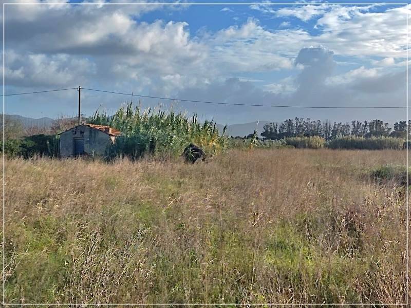 Rustico / casale a Castagneto carducci in Strada vicinale 4 Badia di Sotto - Foto 5