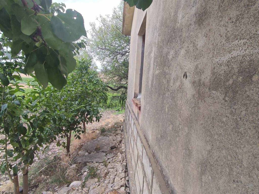 Rustico / casale a Menfi - Foto 4