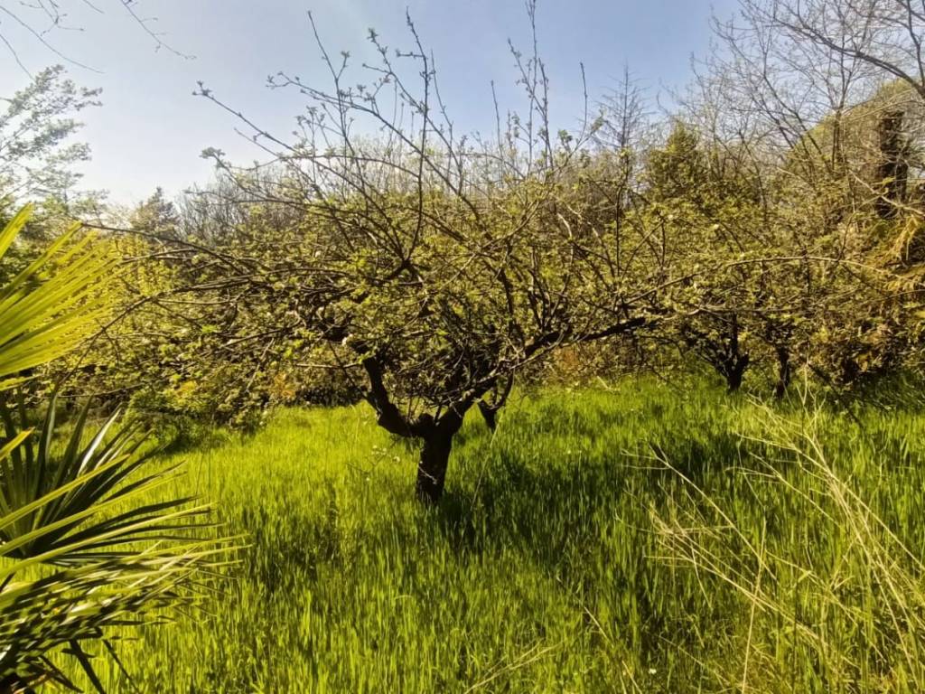 Terreno a Castiglione delle stiviere in Via Solferino - Foto 4